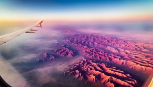 how much is flight ticket from dubai to cameroon