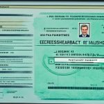 case inquiry by passport number