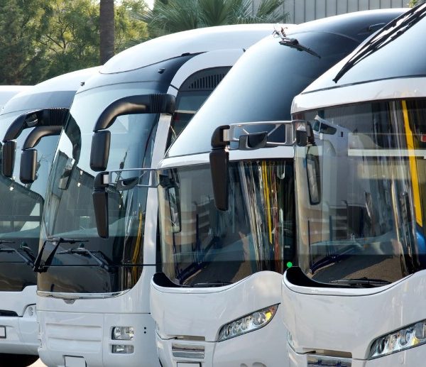 Dubai to Oman Bus Timing: Schedules, Stops, and Fares