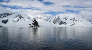 Collaborations and International Partnerships