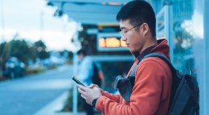 Detailed Bus Schedule and Timings