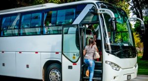 Why Choose the 12 Bus Route