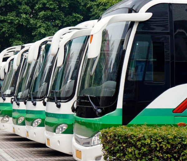 113 Bus Timings: Stay Informed with Up-to-Date Schedule Info