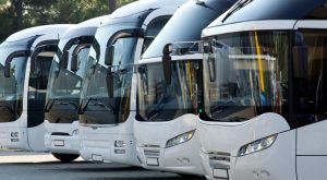 Detailed Bus Timings for All Routes