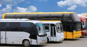 Overview of the 113 Bus Route