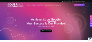 9. DSC - SEO Company Dubai