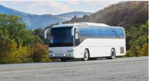 What Are the Alternative Transport Options Near the F13 Route