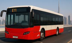 Ruwais to Abu Dhabi Bus Timing