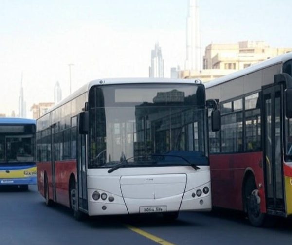 abu dhabi to ajman bus timing